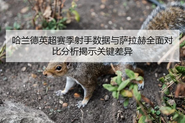 哈兰德英超赛季射手数据与萨拉赫全面对比分析揭示关键差异（BETWAY SPORTS）